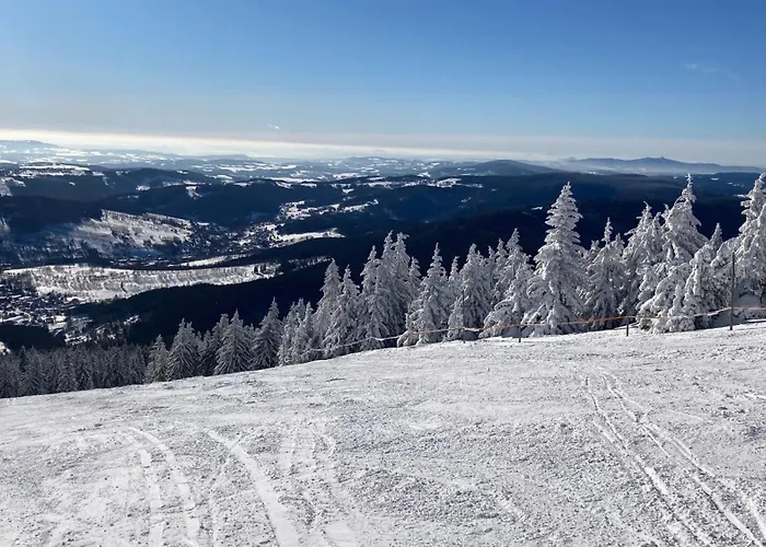 Svadlenka - Chatasvadlenka Cz